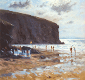 Windbreaks at Trebarwith R834 (click to enlarge)