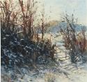 Winter Light R742 (click to enlarge)